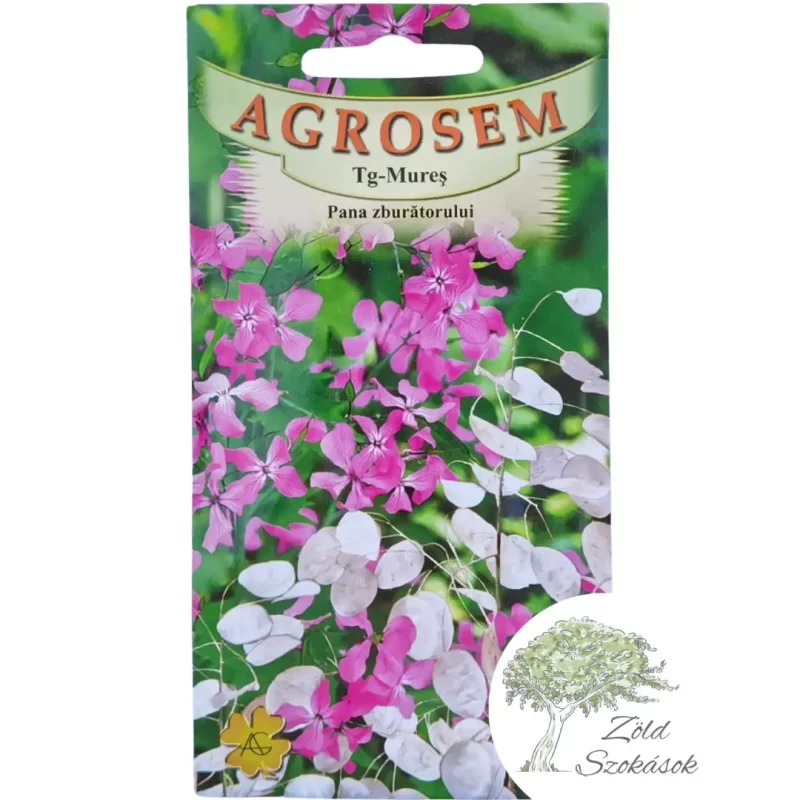 Holdviola Júdáspénz vetőmag- Agrosem