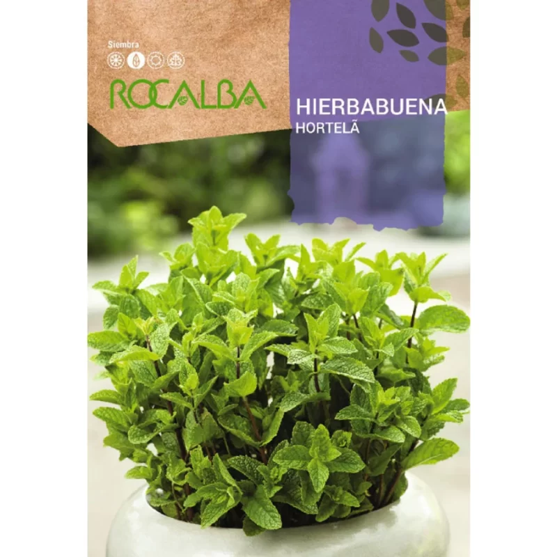 Fodormenta vetőmag Rocalba