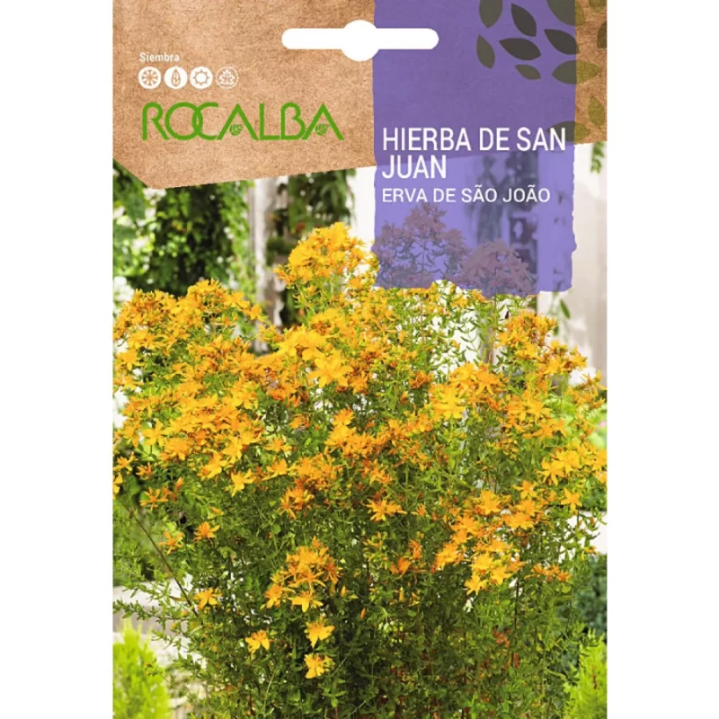 orbáncfű vetőmag Rocalba