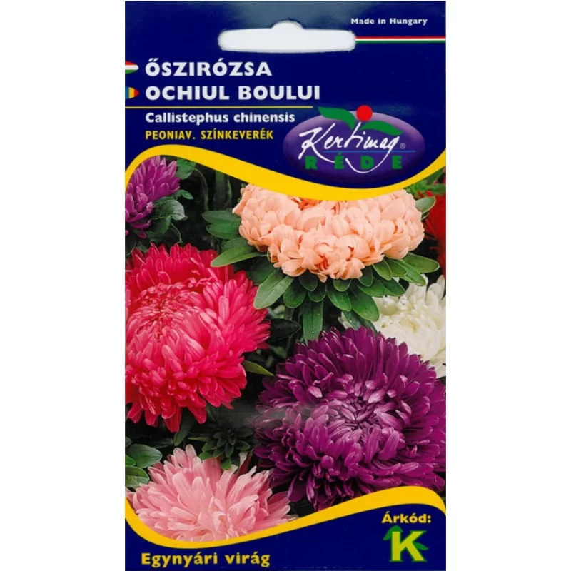 Őszirózsa vetőmag- Peoniavirágú színkeverék, Rédei