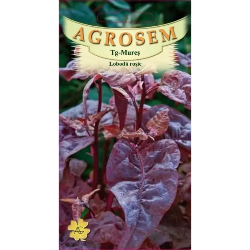 Vörös kerti laboda vetőmag- Agrosem