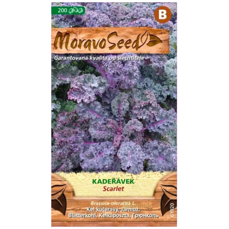 Fodros kel vetőmag, Scarlet, 200 szem – MoravoSeed