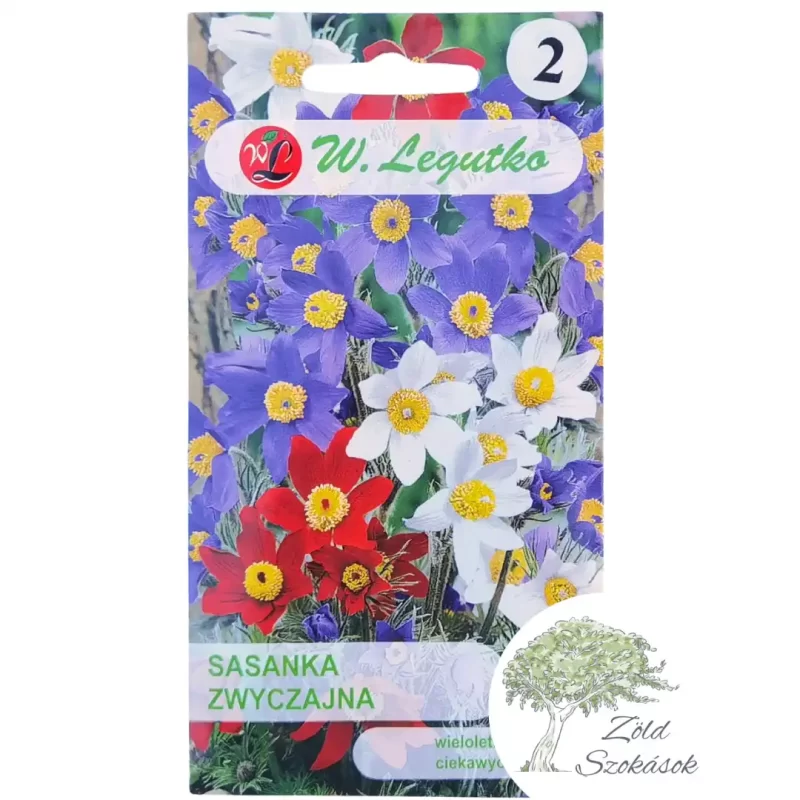 Nyugati kökörcsin vetőmag- színkeverék, W.Legutko