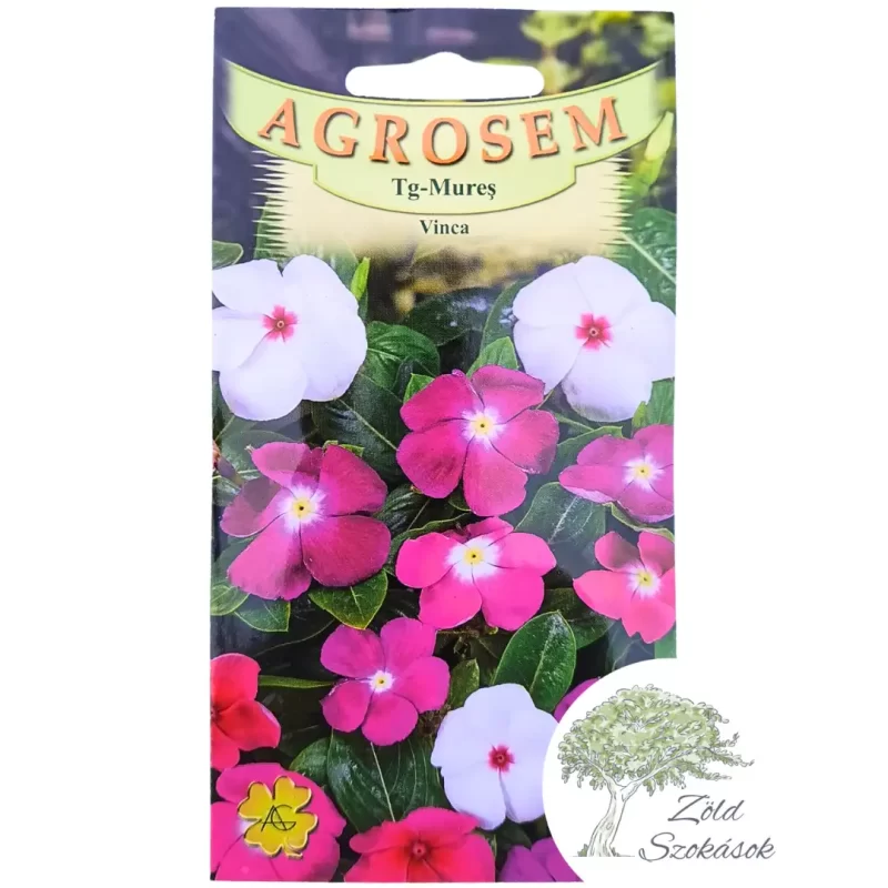 RózsameténgVinca vetőmag- színkeverék, Agrosem