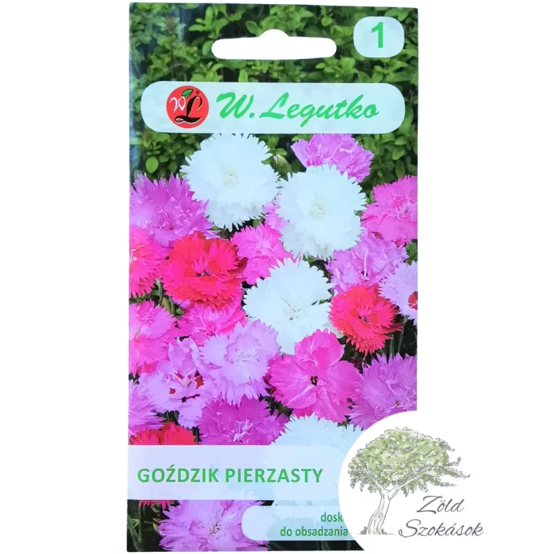 Tollas szegfű vetőmag- színkeverék, W.Legutko