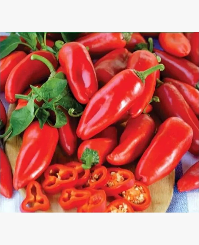 Snack paprika vetőmag- Tourmaline, 50 mag, SzentesiMag