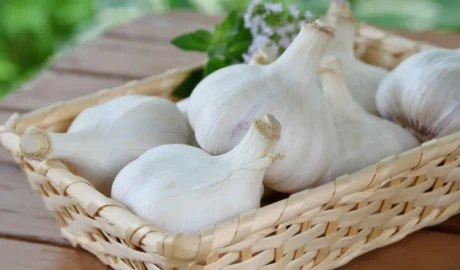 Az őszi fokhagyma ültetése