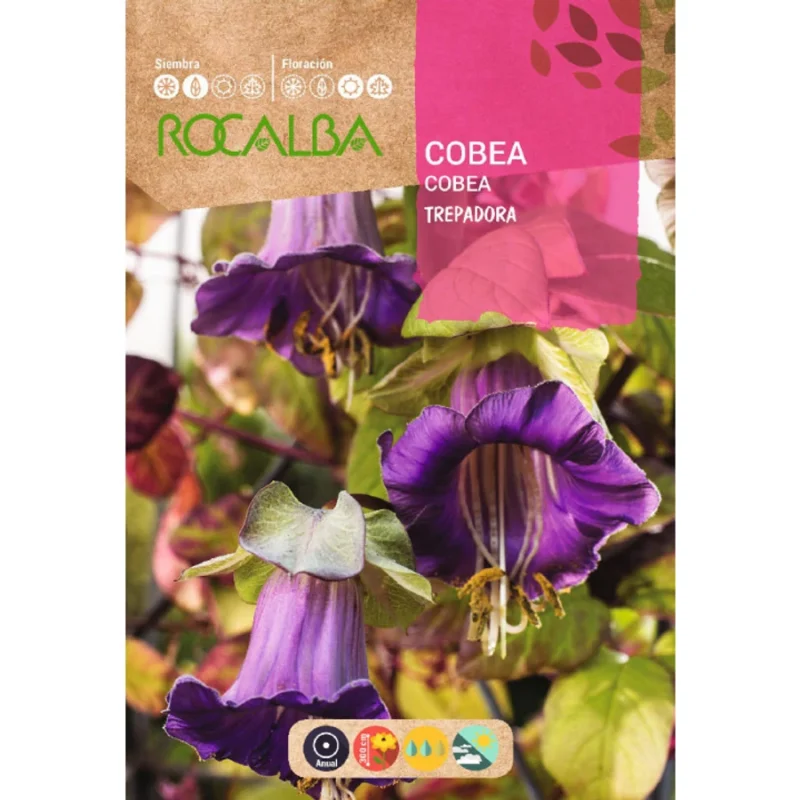 Serleglonc vetőmag, 1 g – Rocalba