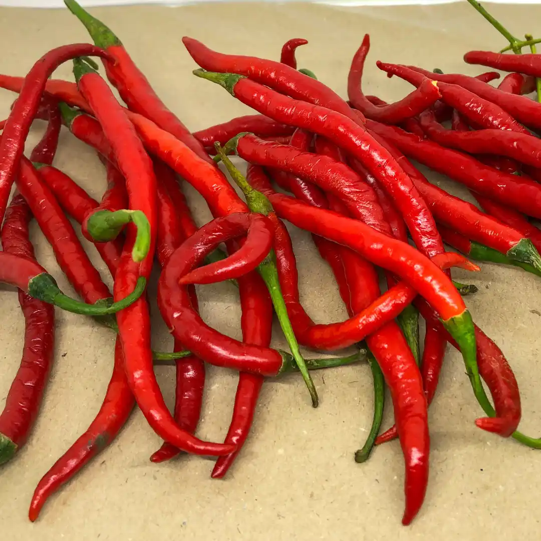 Chili paprika vetőmag, Cayenne 4