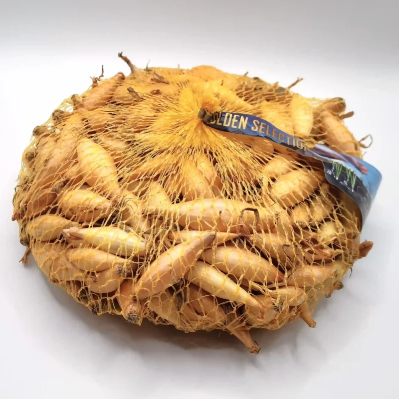 Birnförmige (sonkahagyma) dughagyma, tavaszi ültetésre, 500 g