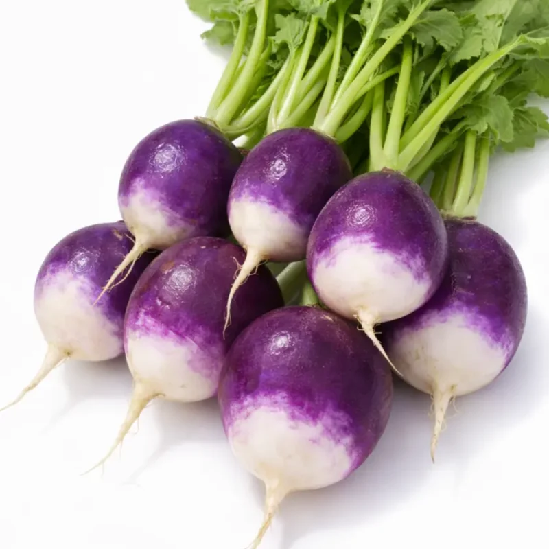 Hónapos retek vetőmag, Diana, 200 mag – SzentesiMag