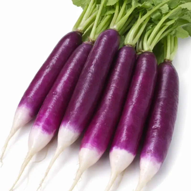 Hónapos retek vetőmag, Felicia, 200 mag – SzentesiMag 1