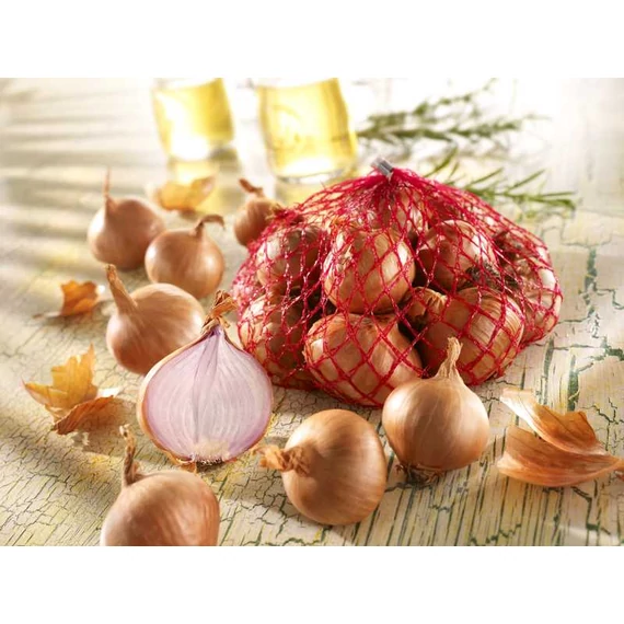 Red Sun Mogyoróhagyma (Salottahagyma) dughagyma, tavaszi ültetésre, 250 g – Rédei Kertimag