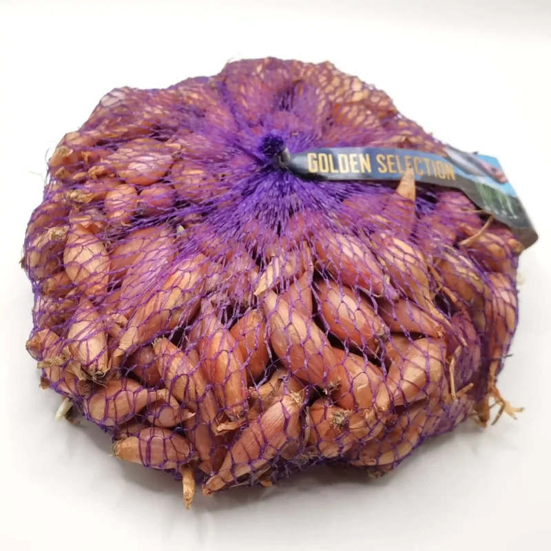 Rosanna (rózsaszín héjú vöröshagyma) dughagyma, tavaszi ültetésre, 500 g