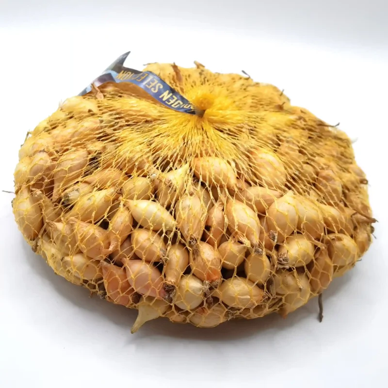 Setton vöröshagyma dughagyma, tavaszi ültetésre, 500 g