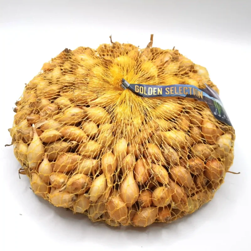 Sturon vöröshagyma dughagyma, tavaszi ültetésre, 500 g