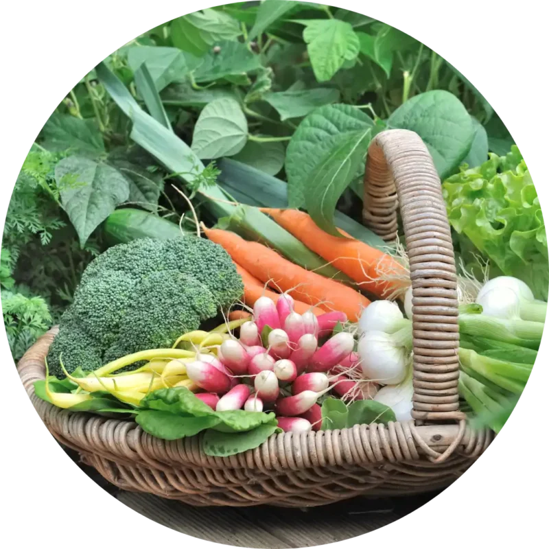 ★ Vetőmag csomagok – egymáshoz válogatva