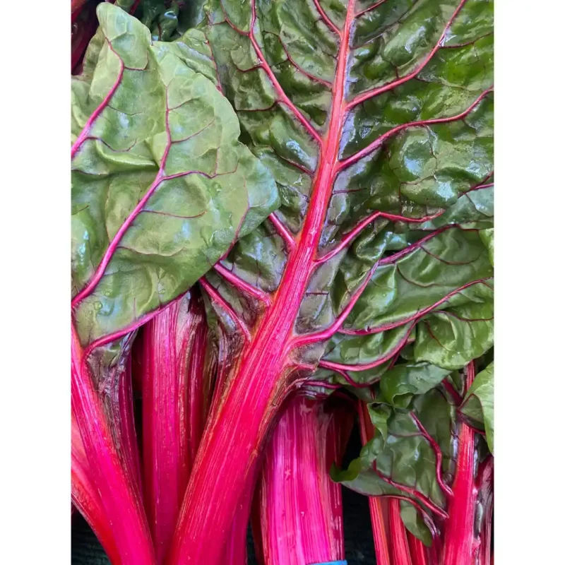 Mángold vetőmag, Magenta, 50 g – SzentesiMag