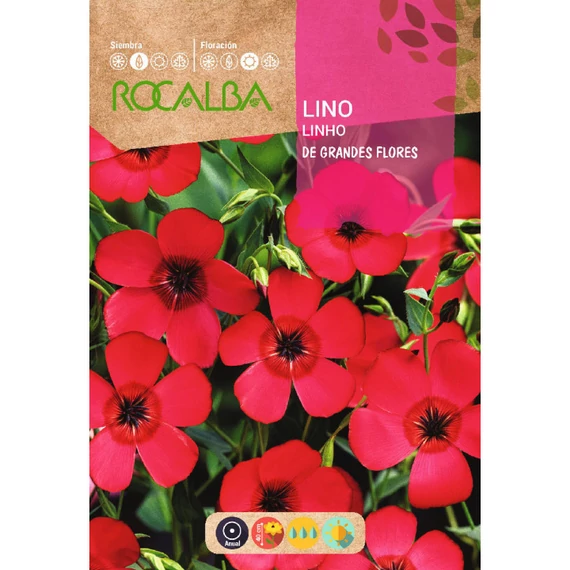 Díszlen vetőmag, piros virágú, De Grandes Flores, 6 g – Rocalba