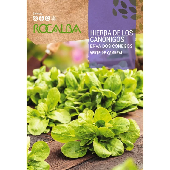Madársaláta (galambbegy saláta) vetőmag, Verte de Cambrai, 6 g – Rocalba