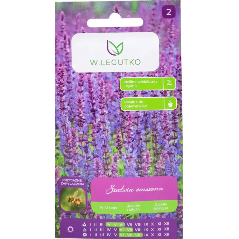 Ligeti zsálya vetőmag, (Salvia nemorosa), 0,1 g – W.Legutko