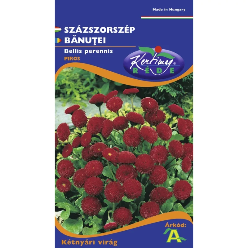 Százszorszép vetőmag, piros telt virágú, 0,125 g – Rédei Kertimag
