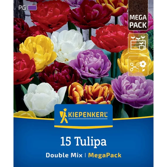 Tulipán virághagyma, Double Tulip Mix (telt virágú színkeverék) 15 db – Kiepenkerl