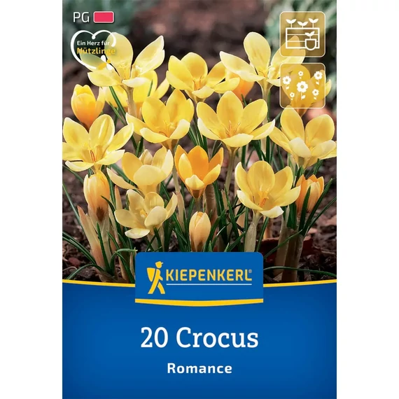 Botanikai krókusz virághagyma, Romance, 20 db – Kiepenkerl